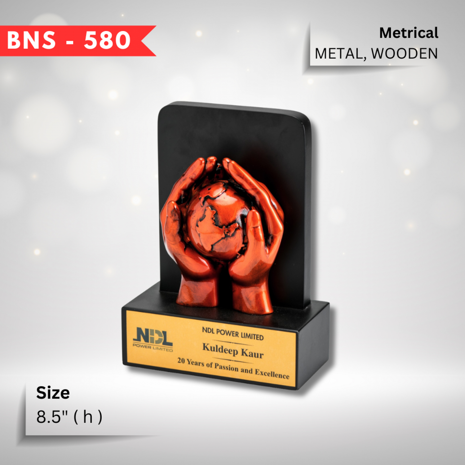 BNS - 580