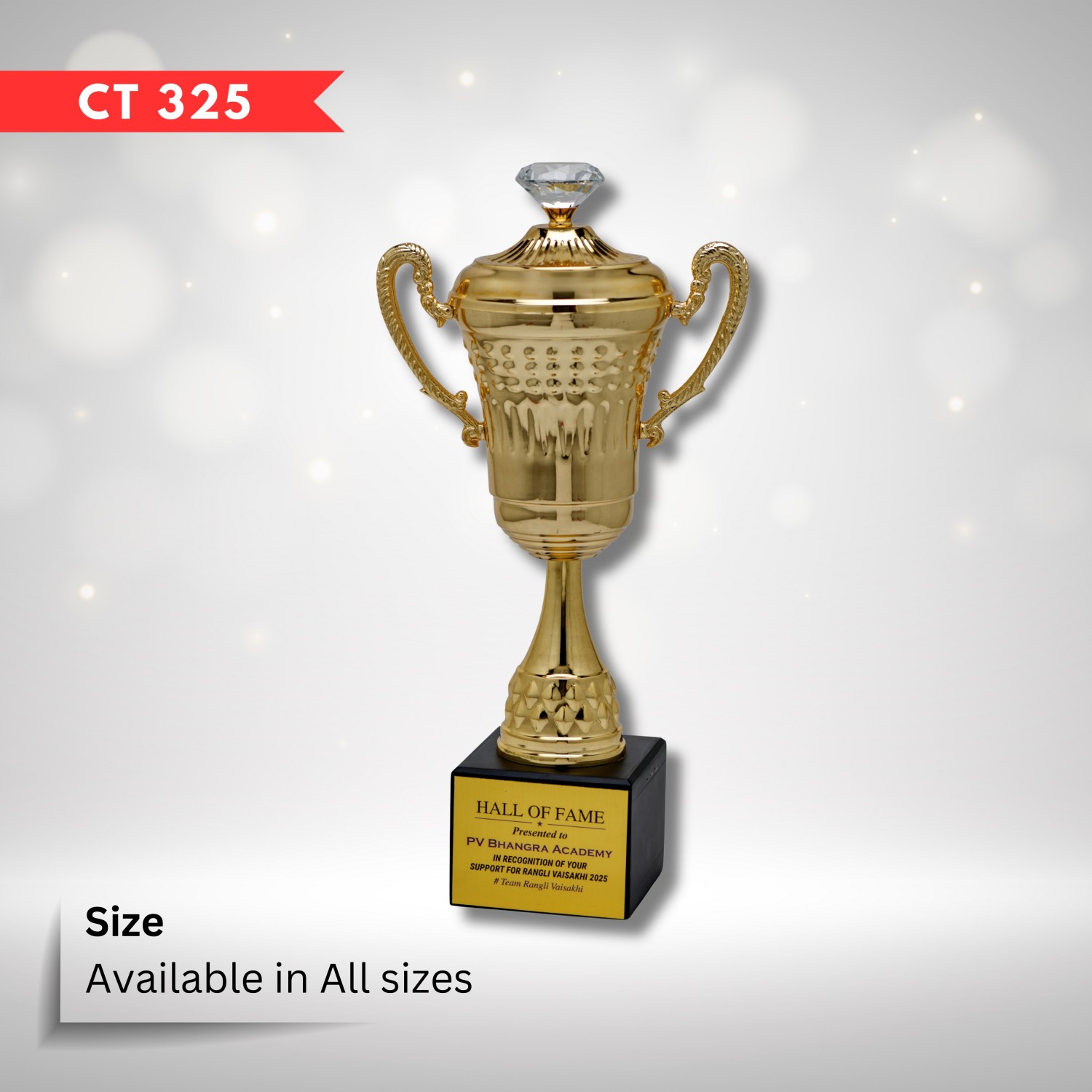 CT -325