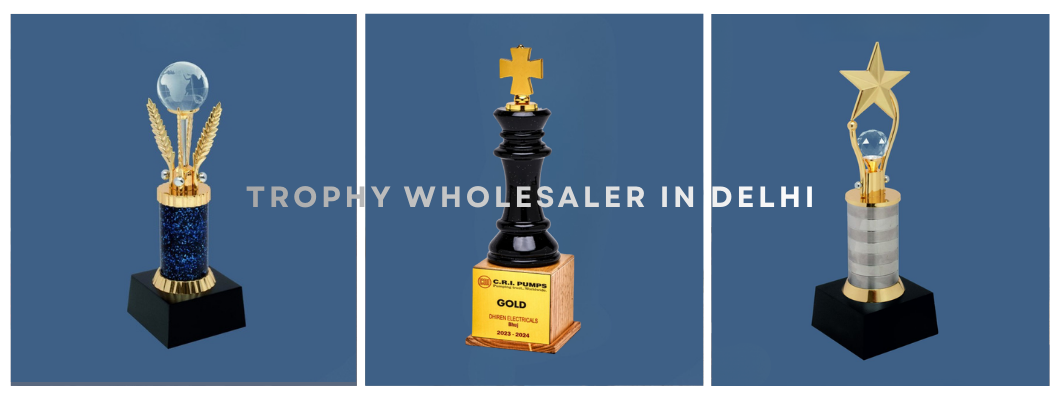 Why Schools and Sports Clubs Prefer a Trophy Wholesaler in Delhi
