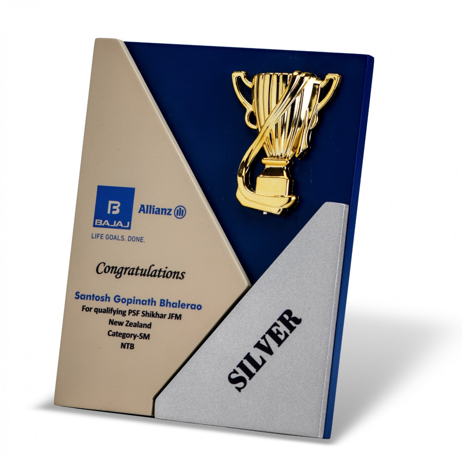 BNS - 579 10"(H) X 7"(W)