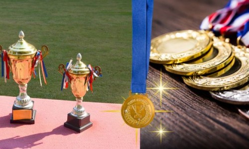 Who Are the top Medal and Trophy Manufacturers in Delhi for Quality Awards and Custom Designs?