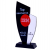 Why Choose Acrylic Trophies? Insights from Delhi's Leading Manufacturers