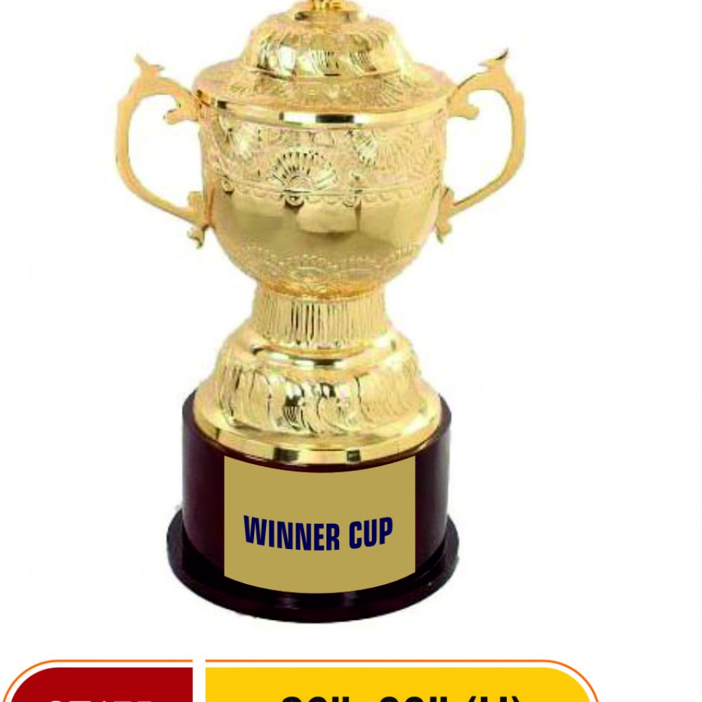 Cups & Trophies