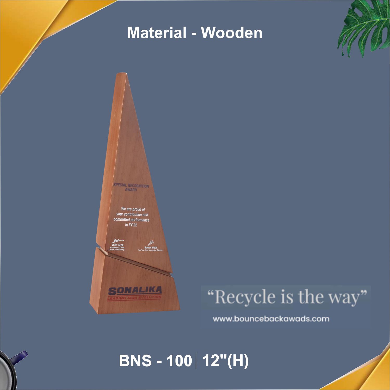 BNS - 100