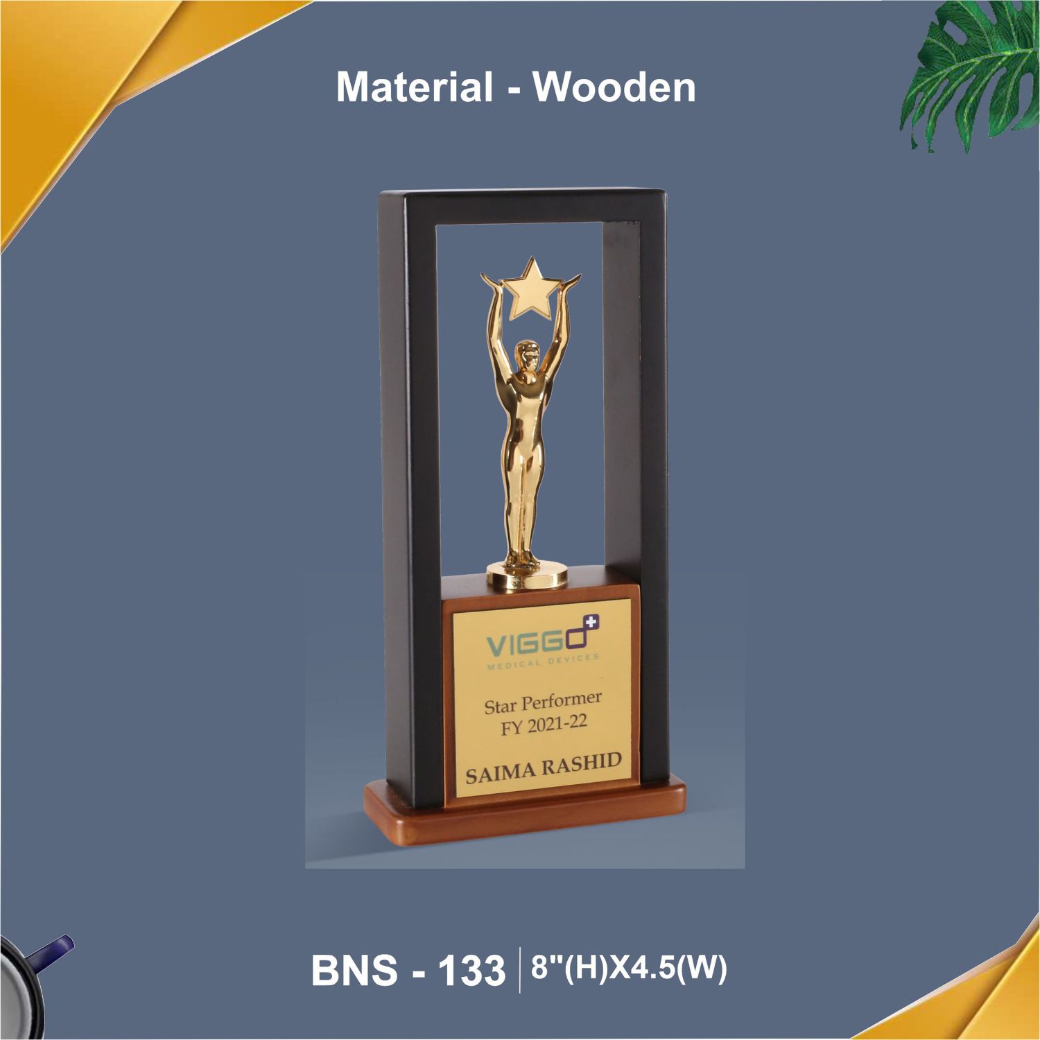 BNS - 133