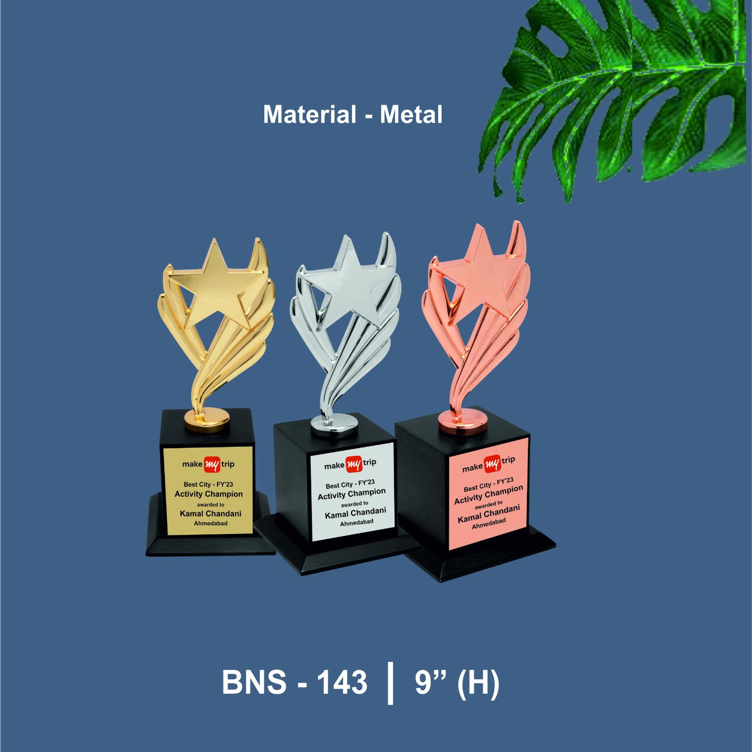 BNS - 143