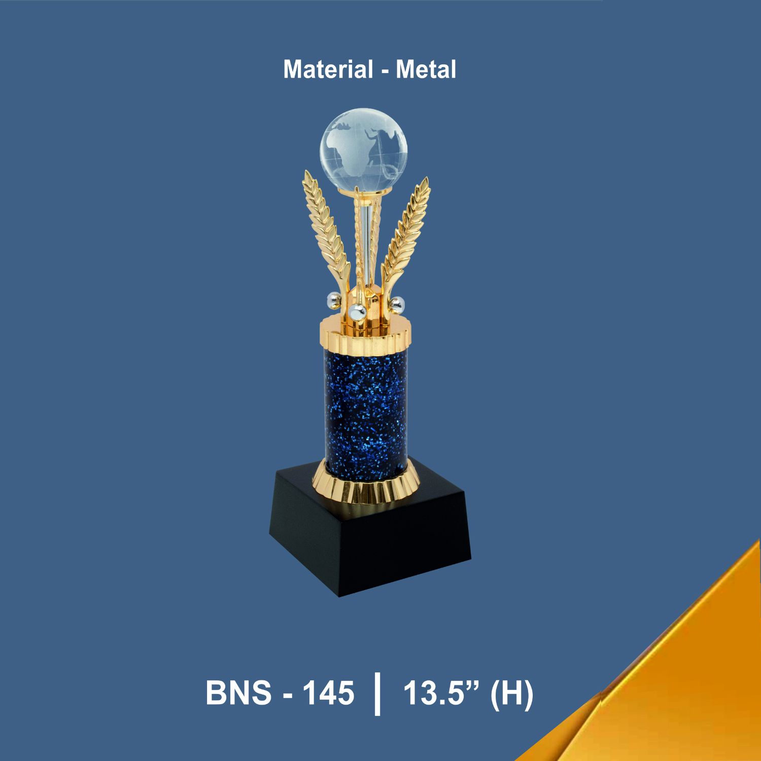 BNS - 145