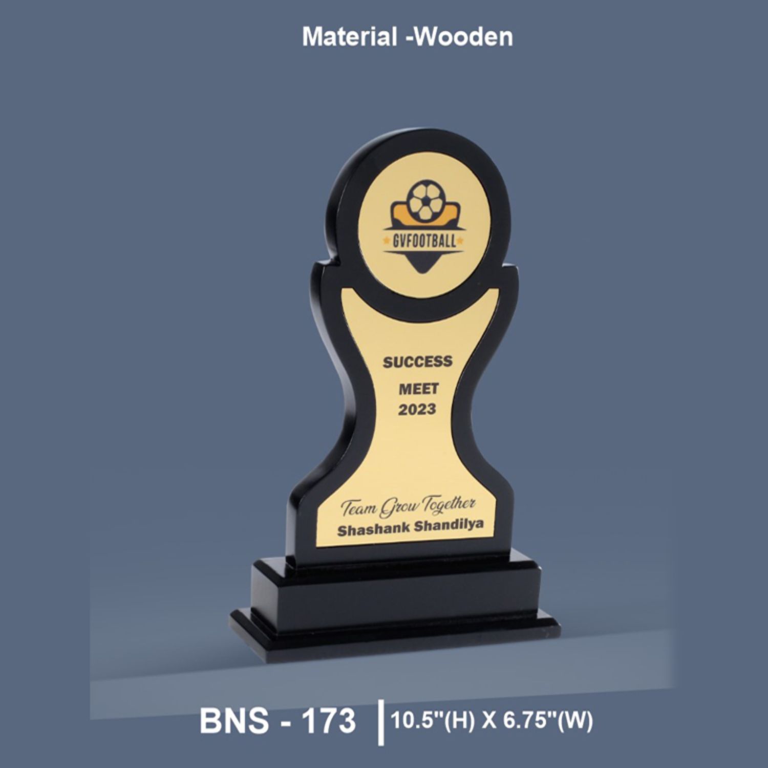 BNS - 173