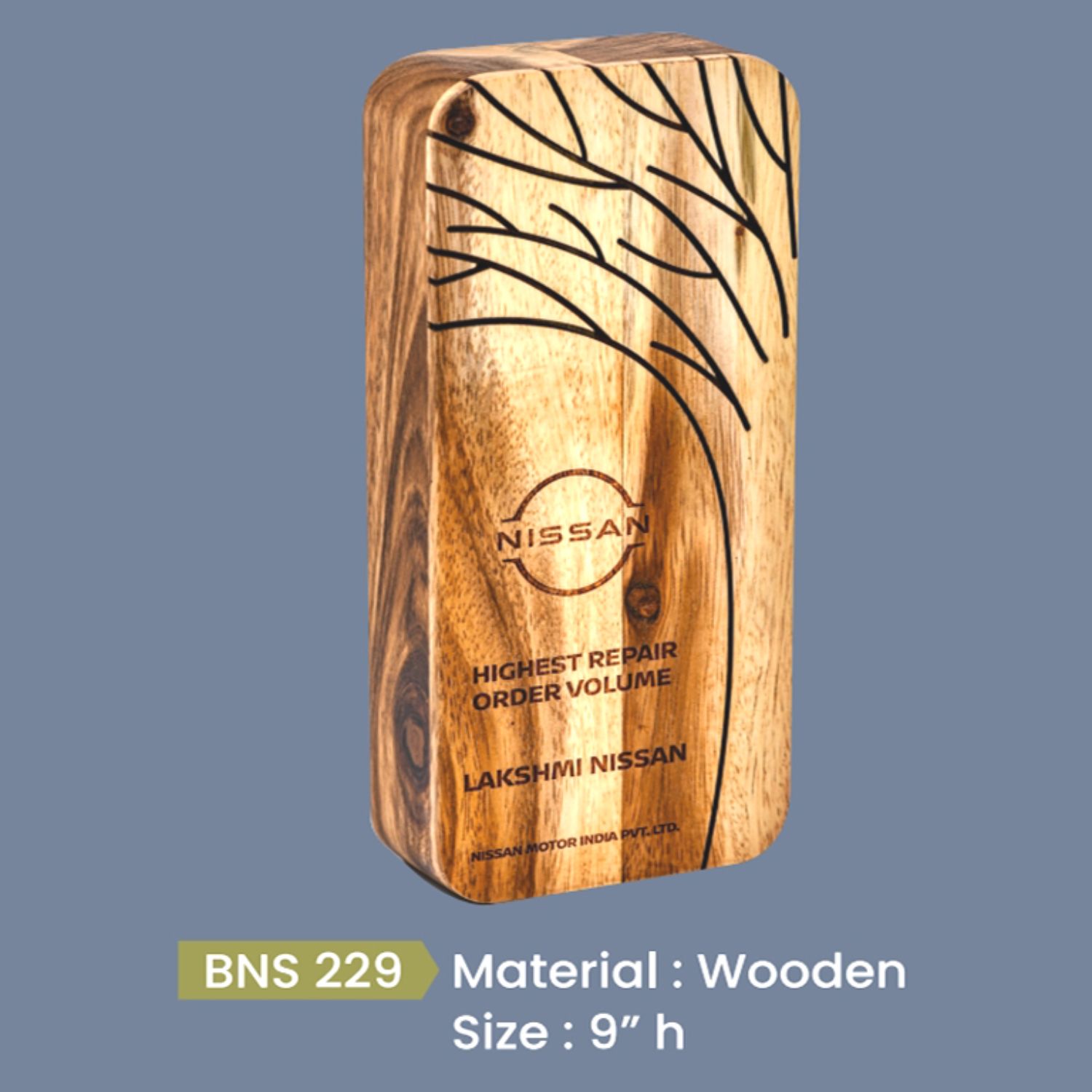 BNS - 229