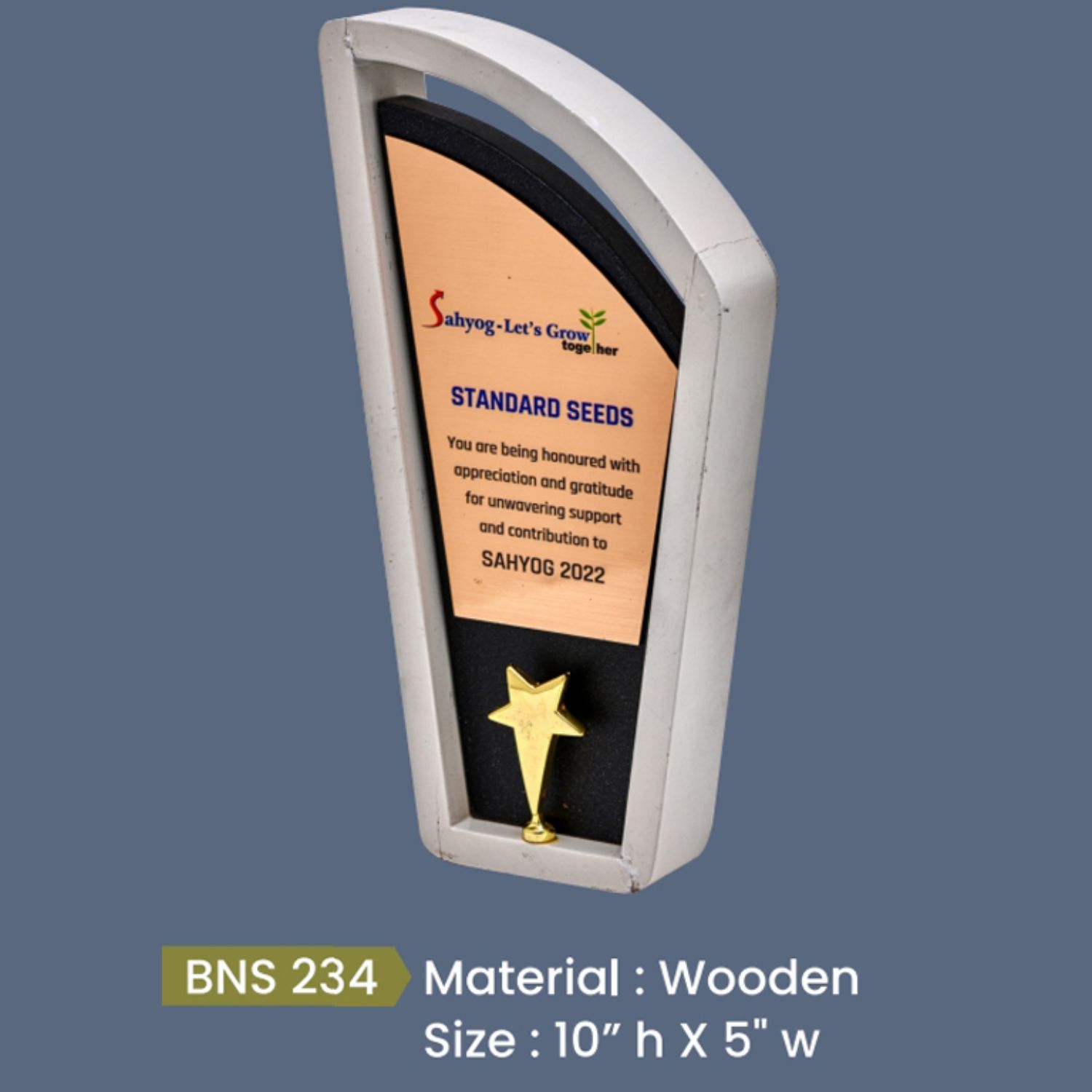 BNS - 234