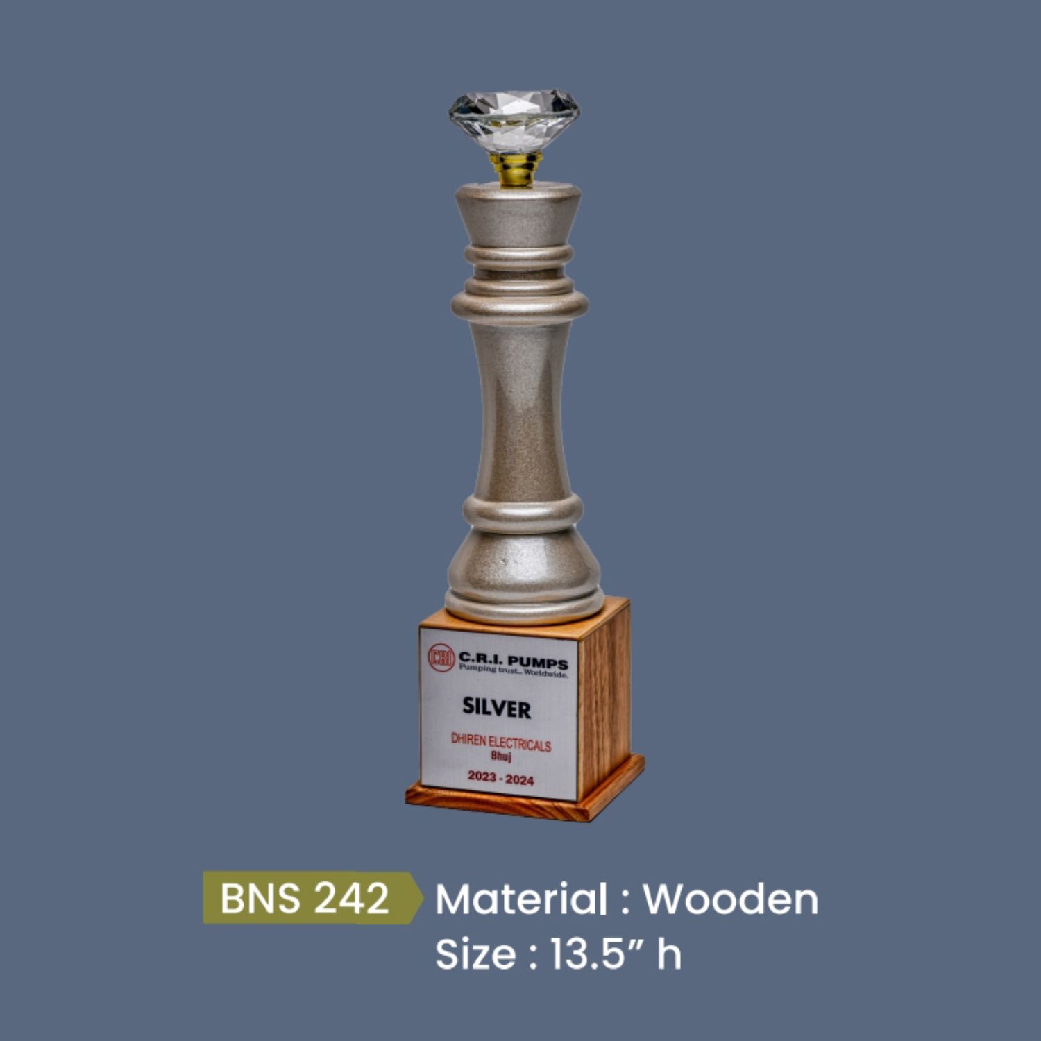 BNS - 242