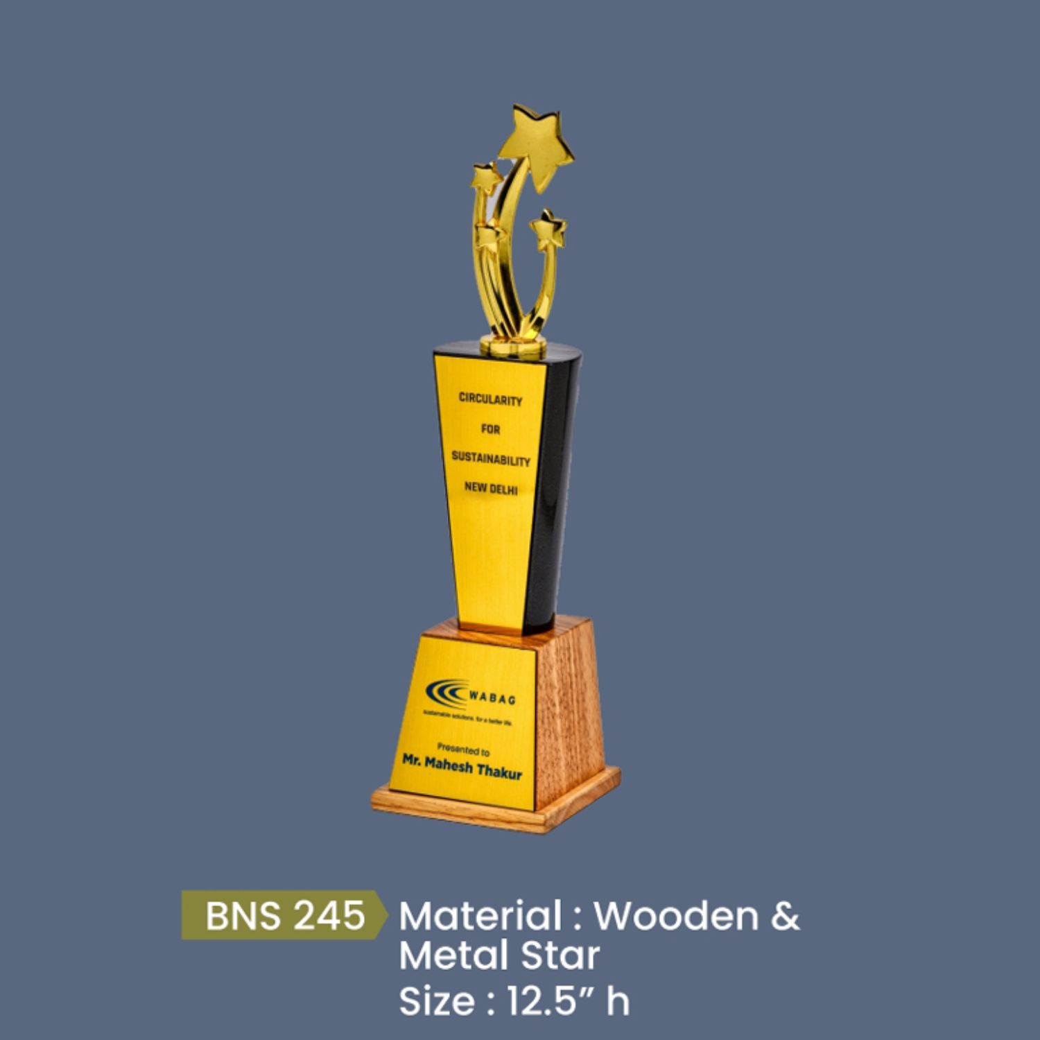 BNS - 245