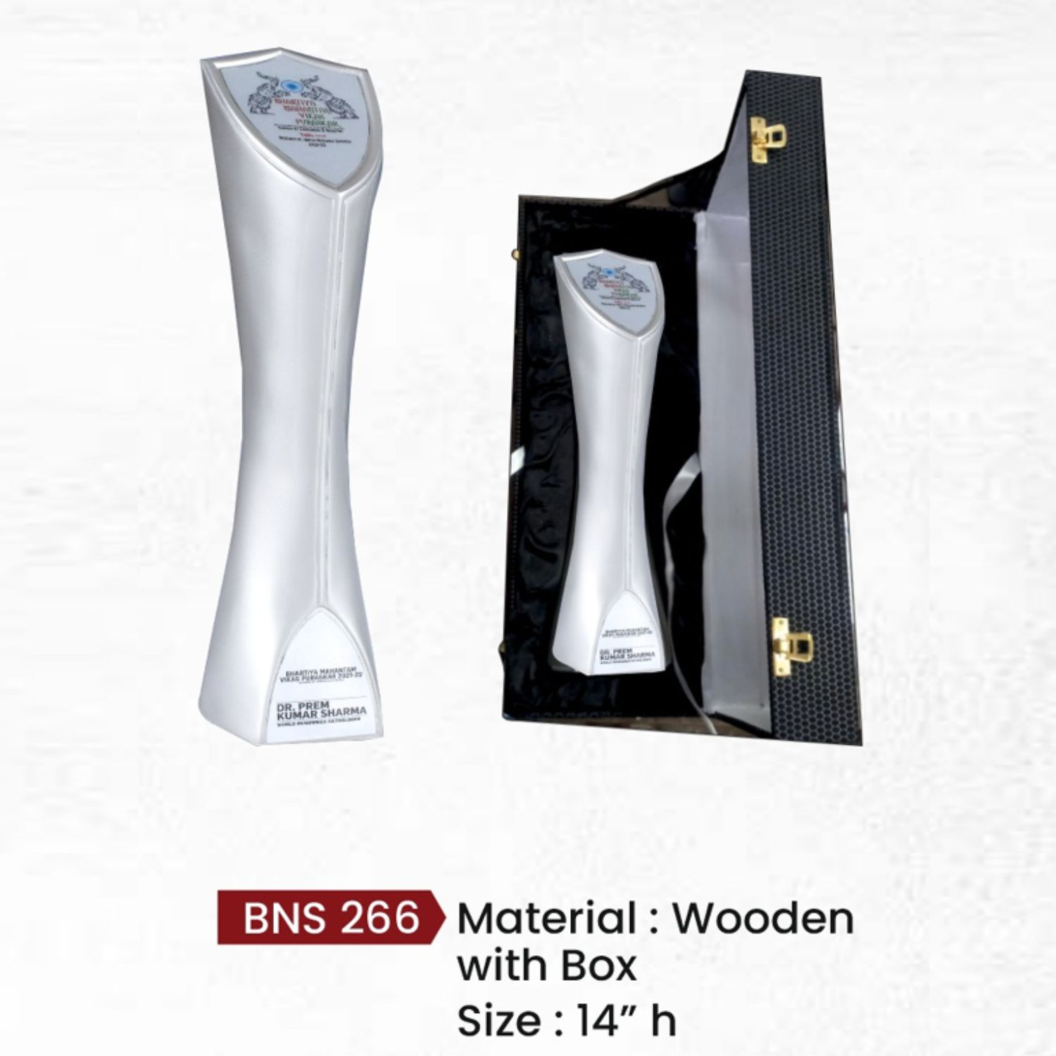 BNS - 266