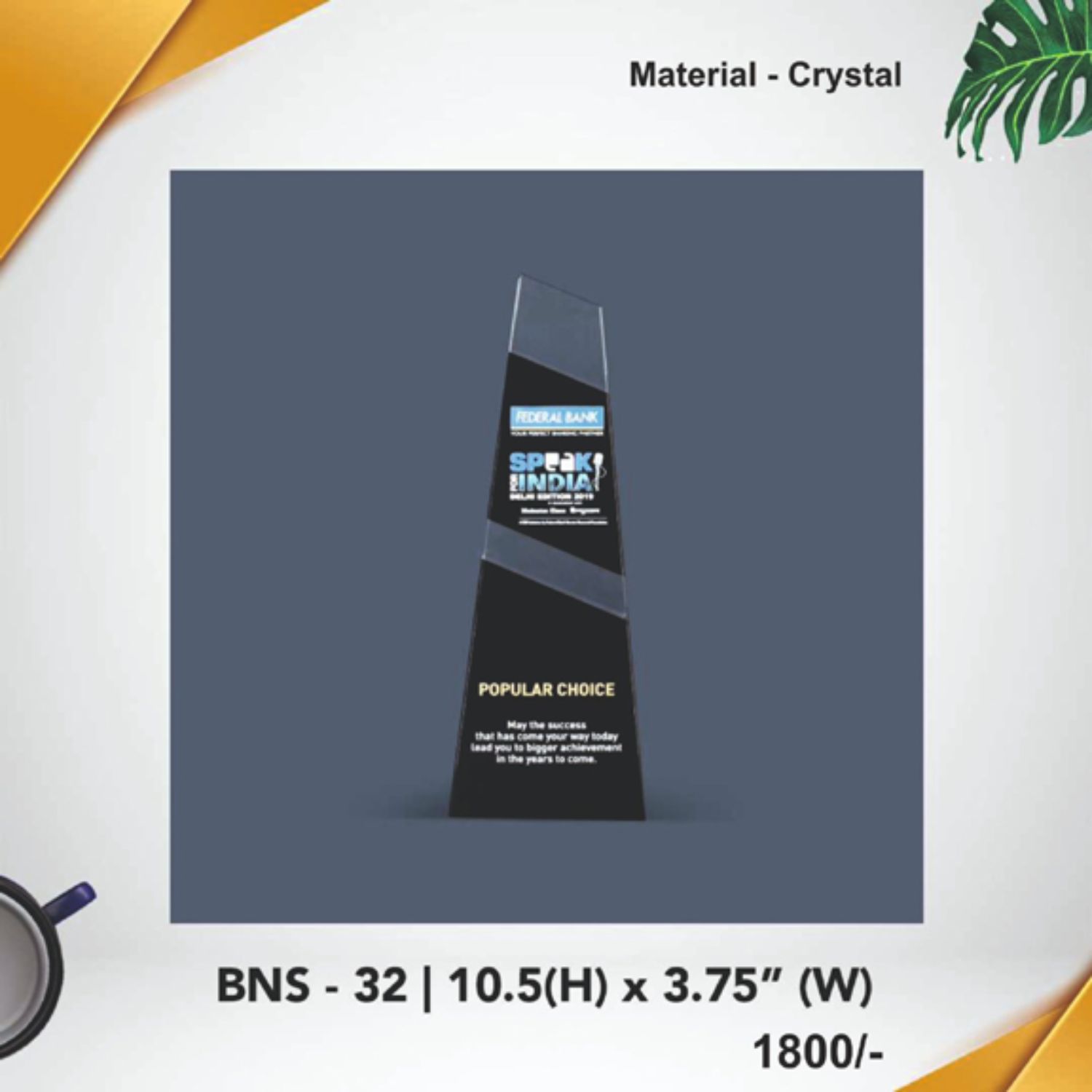 BNS - 32