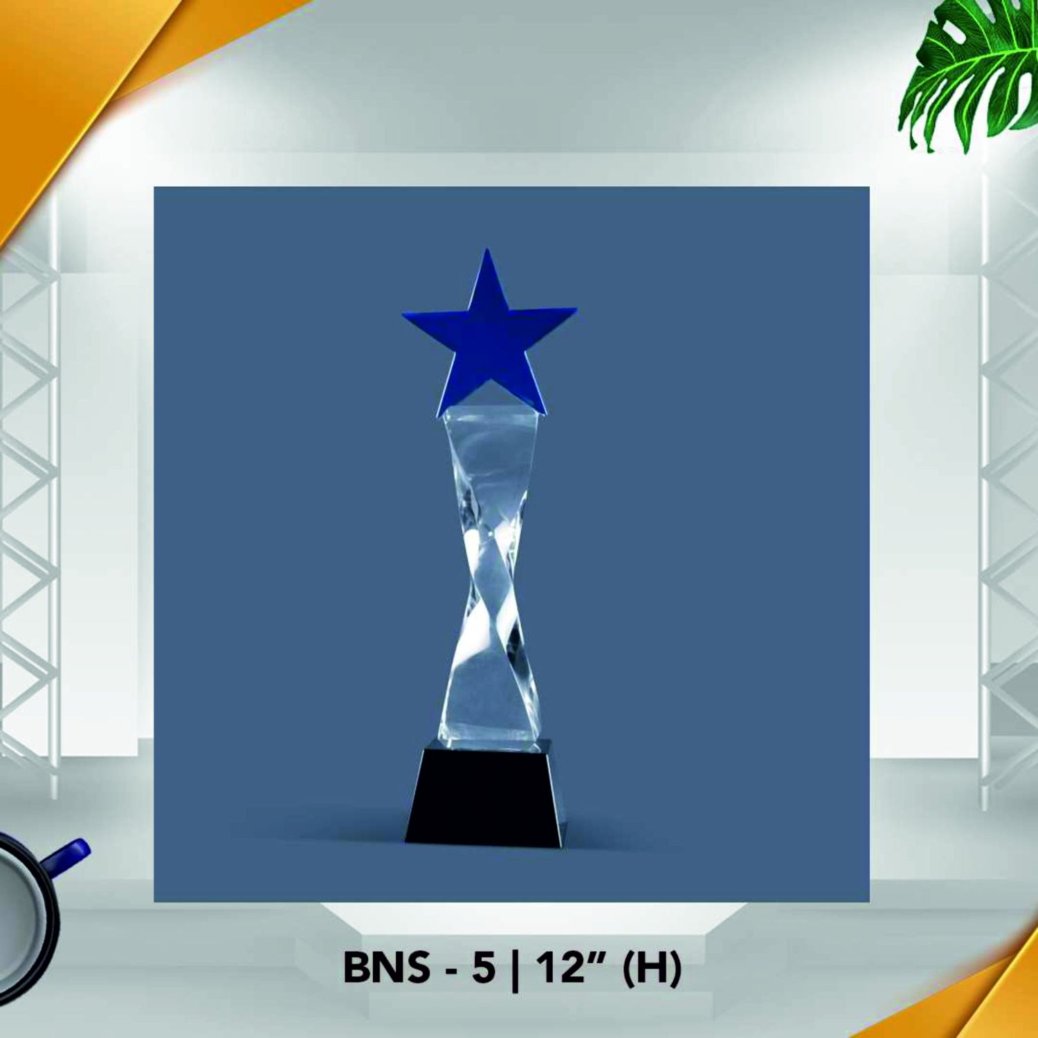 BNS - 5