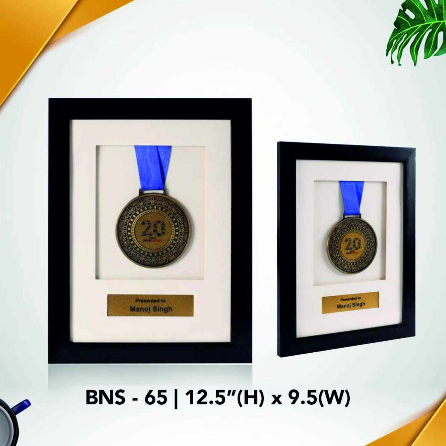 BNS - 65