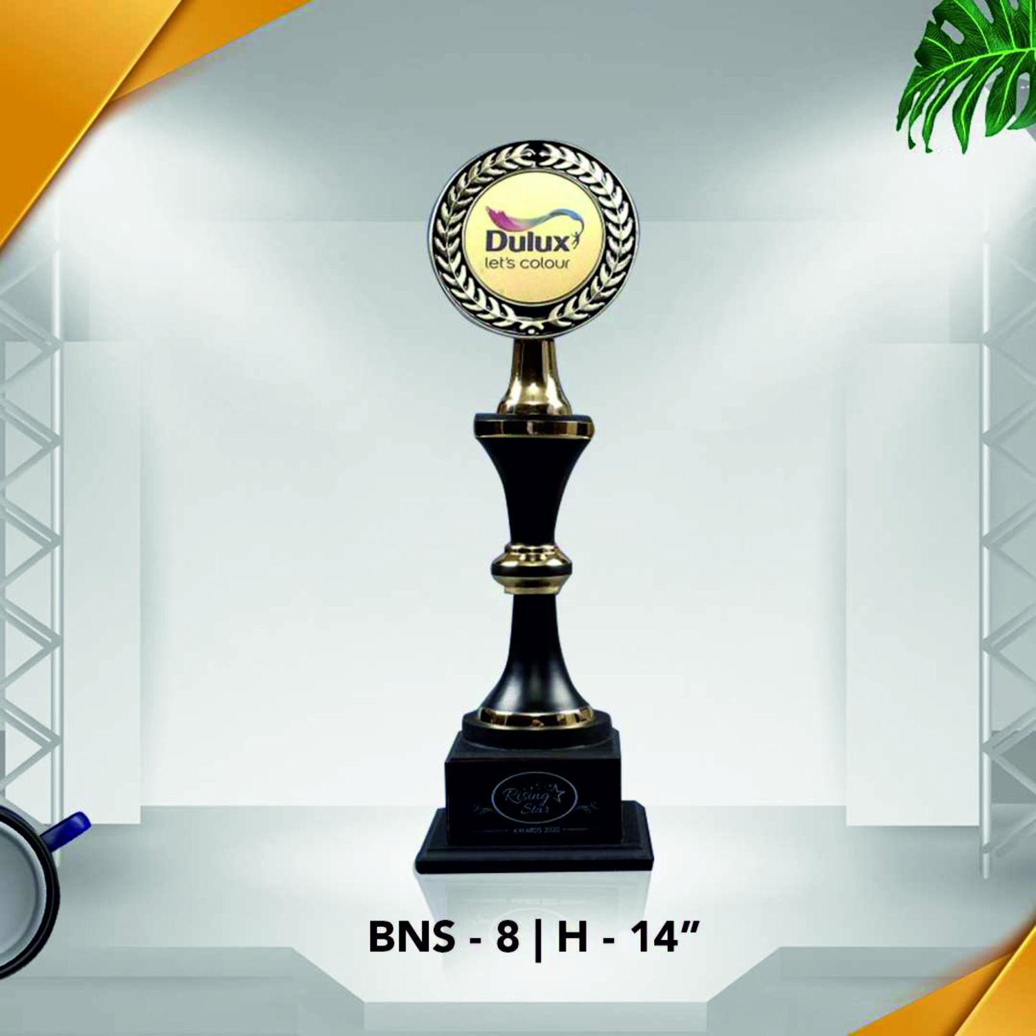 BNS - 8