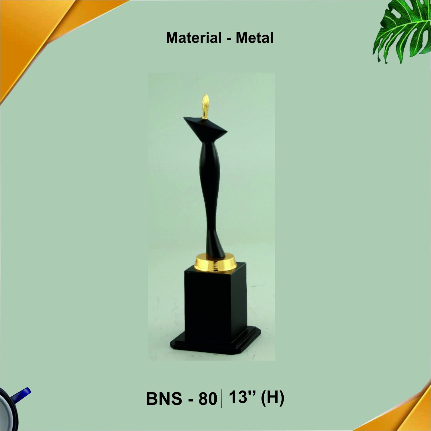 BNS - 80