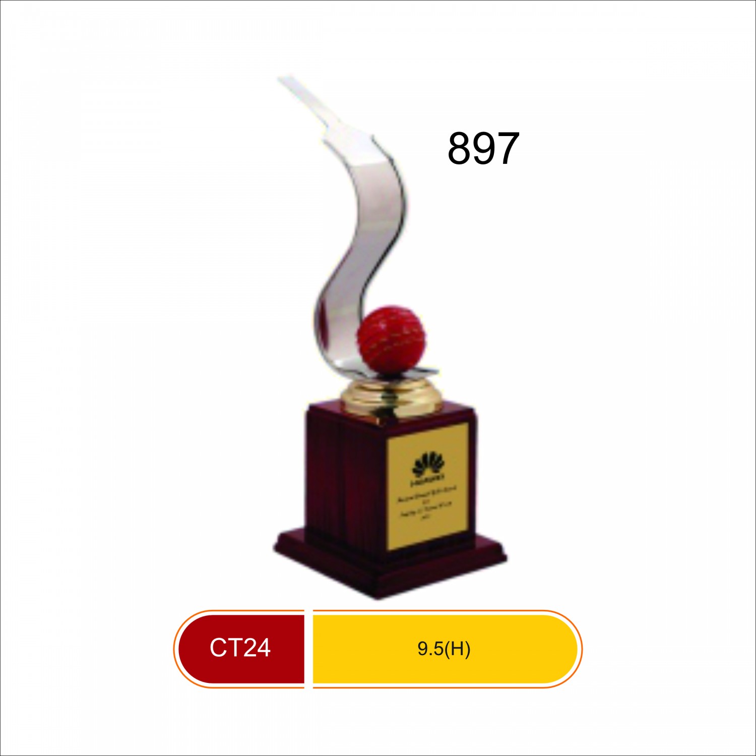 CT 24